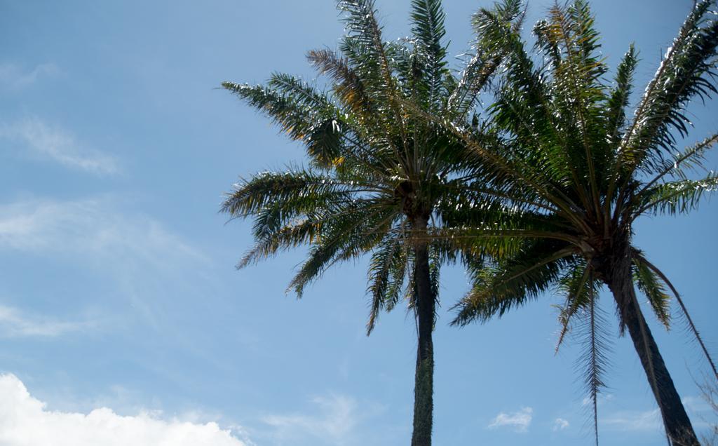 Pousada Vila Rosa dos Ventos Trancoso Exterior foto